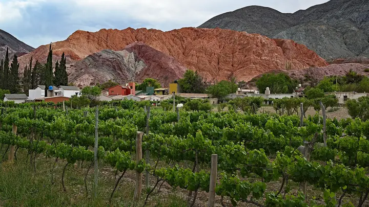 The Hill of 7 Colors above a vineyard, in Purmamarca